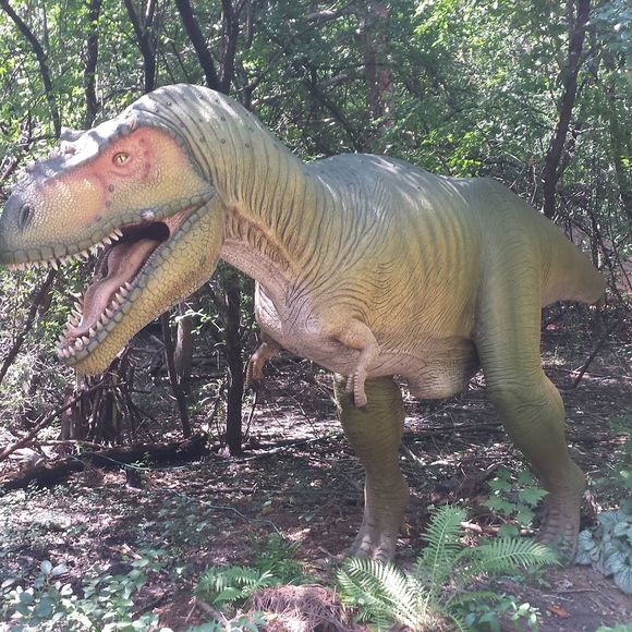 Meet your Posher, Serenity - Picture 1 of 1